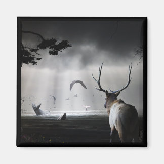 Aimant Veille baleine