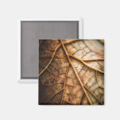 Aimant Veines d'Automne (Recto/Verso)