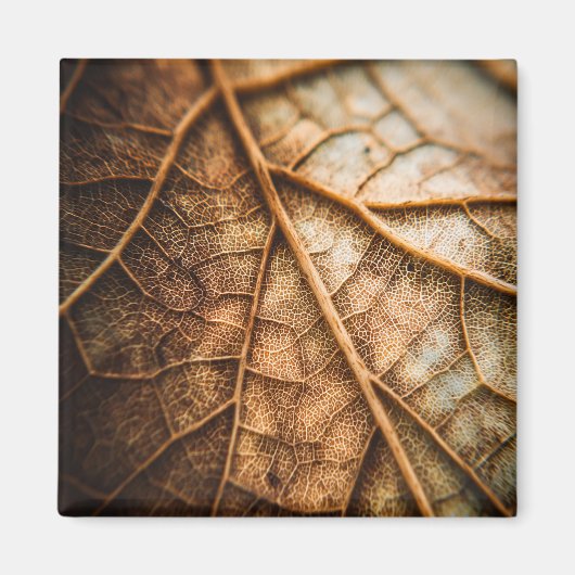 Aimant Veines d'Automne (Devant)