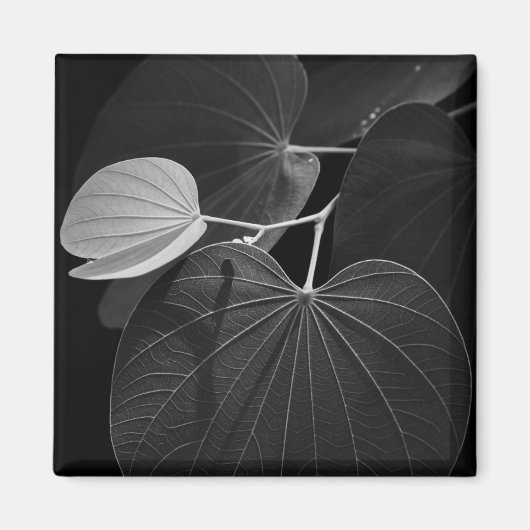 Aimant Veines d'une feuille (Devant)