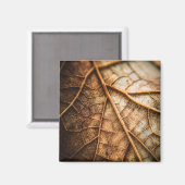 Aimant Veins of Autumn (Recto/Verso)