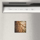 Aimant Veins of Autumn (In Situ (Lave-vaisselle))