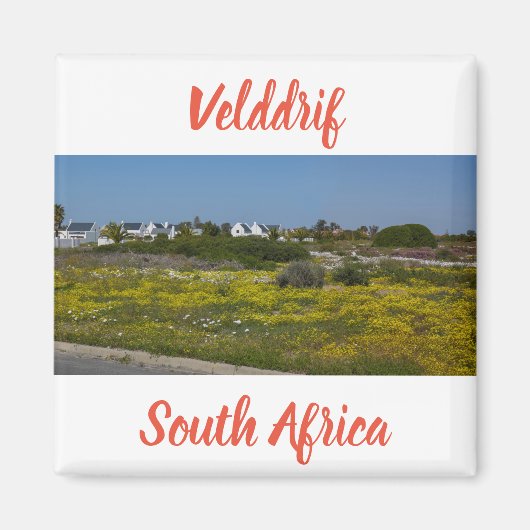 Aimant Velddrif West Coast Fleurs sauvages Afrique du Sud (Devant)