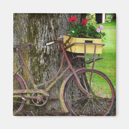 Aimant Vélo ancien ancien avec panier à fleurs (Devant)