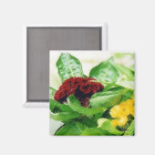 Aimant Velvet Floral (Recto/Verso)