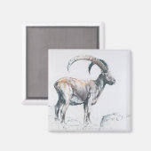 Aimant Venerando Stambecco 2006 (Recto/Verso)