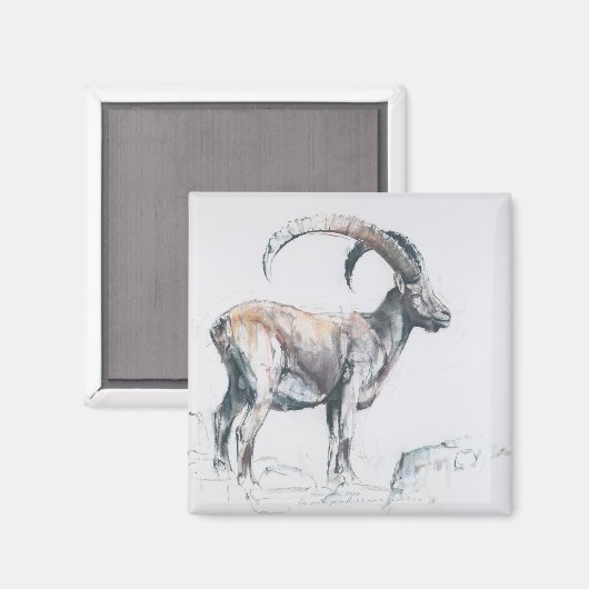 Aimant Venerando Stambecco 2006 (Recto/Verso)