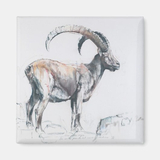 Aimant Venerando Stambecco 2006 (Devant)