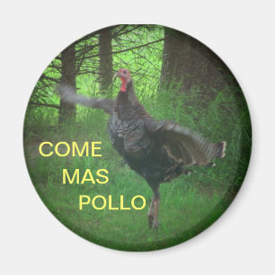 Aimant Venez MAS Pollo Turquie drôle