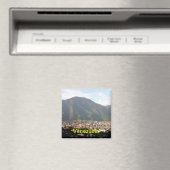 Aimant vénézuélien (In Situ (Lave-vaisselle))