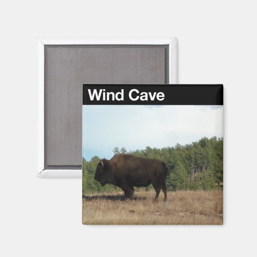 Aimant Vent Cave NP (Recto/Verso)