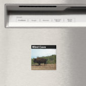 Aimant Vent Cave NP (In Situ (Lave-vaisselle))