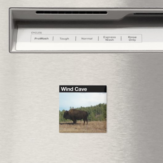 Aimant Vent Cave NP (In Situ (Lave-vaisselle))