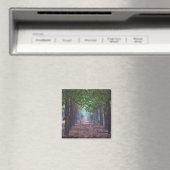 Aimant Vent dans les Pins (In Situ (Lave-vaisselle))