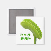 Aimant Vénus Trap (Recto/Verso)