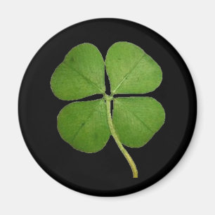Aimant Véritable Shamrock de fermeture à 4 feuilles Noir