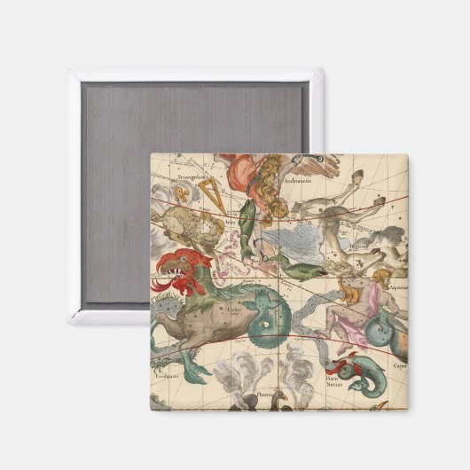 Aimant Vernal (Recto/Verso)