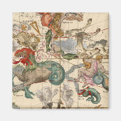 Aimant Vernal (Devant)