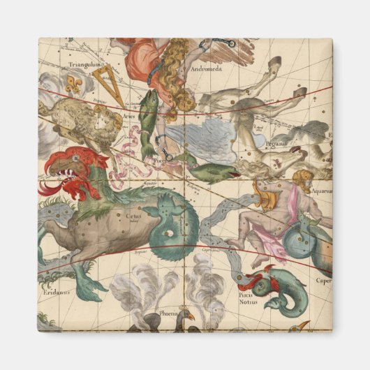 Aimant Vernal (Devant)