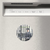 Aimant Verrouillé à Dublin (In Situ (Lave-vaisselle))