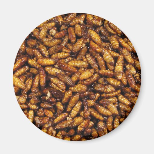 Aimant Vers de soie frits ... Thai Street Food (Devant)