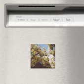 Aimant Vers la glycine 2011 (In Situ (Lave-vaisselle))