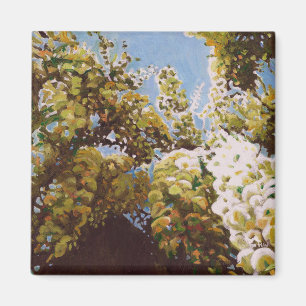 Aimant Vers la glycine 2011