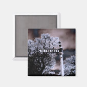 Aimant Vers l'aimant Arête (Recto/Verso)