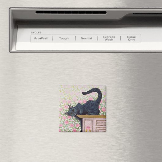 Aimant Vers le haut Rose (In Situ (Lave-vaisselle))