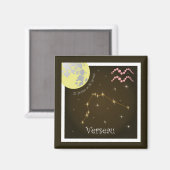 Aimant Verseau 21 janvier au 18 février (Recto/Verso)