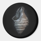 Aimant Version couleur Shells No 6 (Devant)