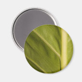 Aimant Vert 01 (Recto/Verso)