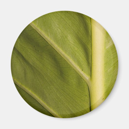 Aimant Vert 01 (Devant)