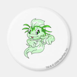 Aimant Vert de Koi