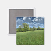 Aimant vert des Appalaches (Recto/Verso)