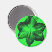 Aimant Vert foncé sur vert clair Amaryllis (Recto/Verso)