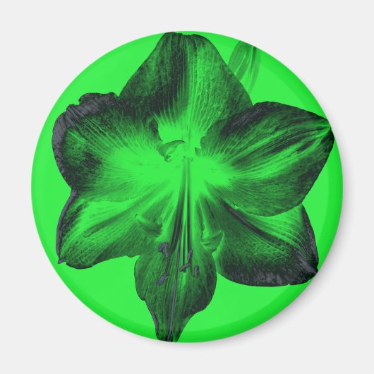 Aimant Vert foncé sur vert clair Amaryllis (Devant)