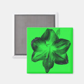 Aimant Vert foncé sur vert clair Amaryllis (Recto/Verso)