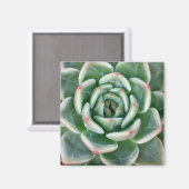 Aimant Vert rouge pourri Succulent (Recto/Verso)