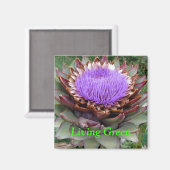 Aimant Vert vivant (Recto/Verso)