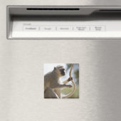 Aimant Vervet singe tenant la queue (In Situ (Lave-vaisselle))