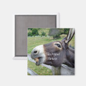 Aimant Veste originale drôle âne Mule animal de ferme (Recto/Verso)