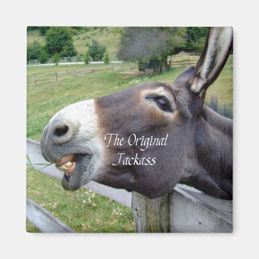 Aimant Veste originale drôle âne Mule animal de ferme (Devant)