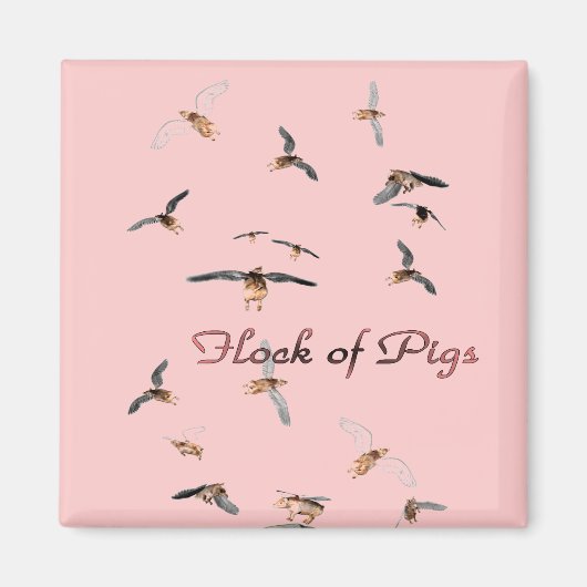 Aimant Vestige de l'aimant des cochons (Devant)