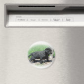 Aimant Vêtements Et Articles De Retriever Du Labrador (In Situ (Lave-vaisselle))