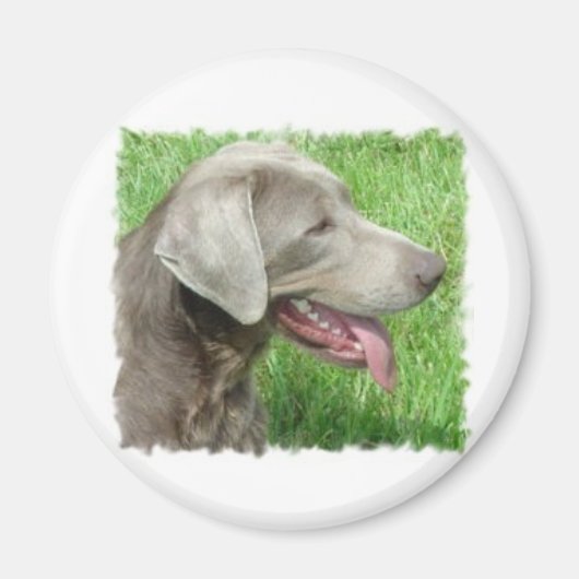 Aimant Vêtements Et Articles De Retriever Du Labrador (Devant)