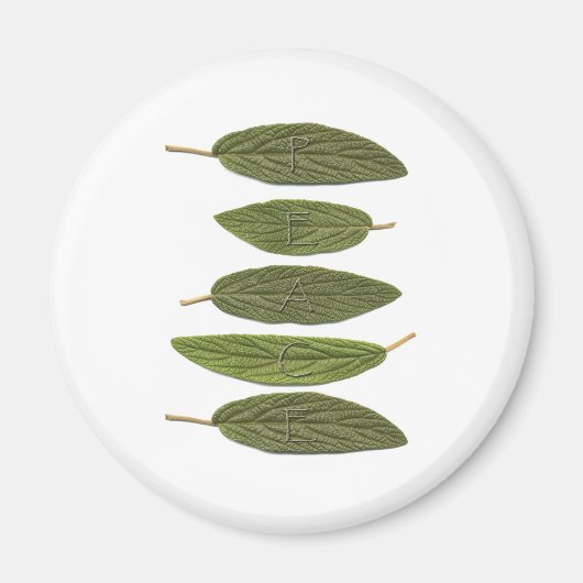 Aimant VIBIRNUM LA PAIX feuille (Devant)