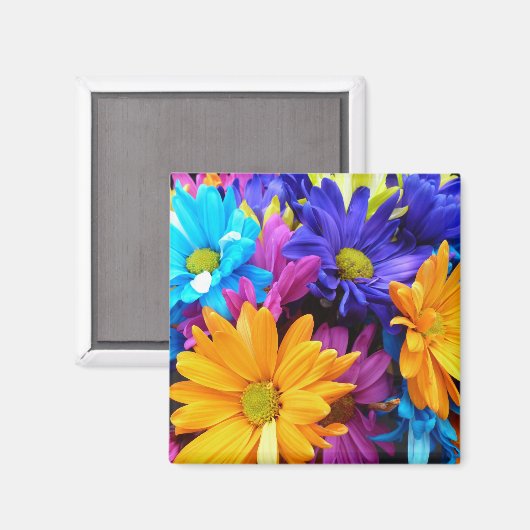 Aimant Vibrant Gerbera Daisy (Recto/Verso)