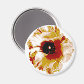 Aimant vibrant orange and white ranunculus (Recto/Verso)