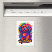 Aimant Vibrant Pop Art Havanese Dog – Colorful Street Art (In Situ (Lave-vaisselle))